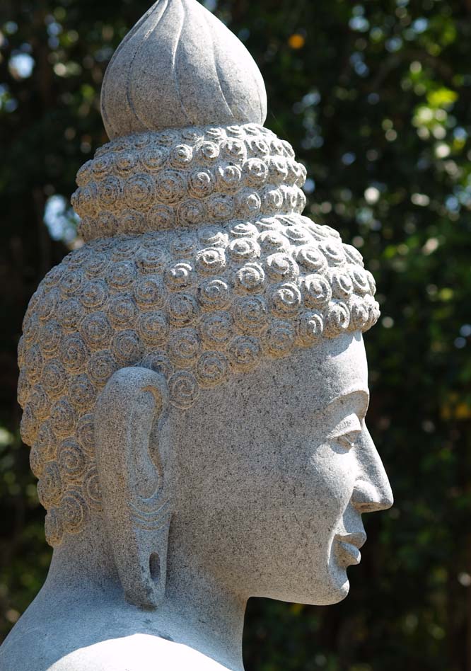 Buddha Sculpture