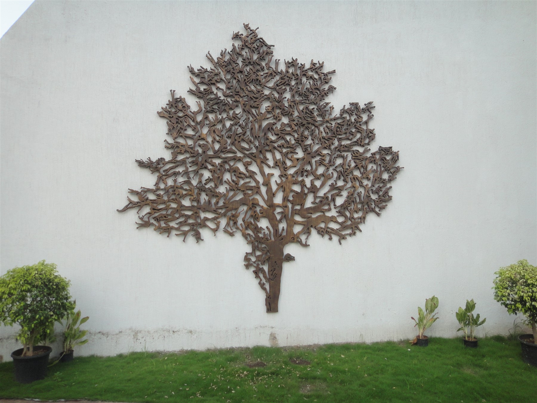 The Tree Of The field