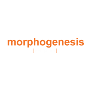 Morphogenesis Architects