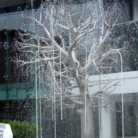 Rain Tree (1)